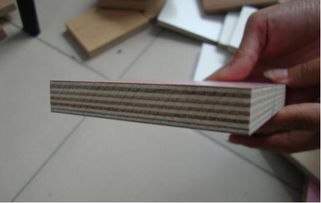 中木商网 一站式木材资讯与加工服务平台