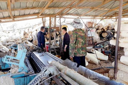 甘肃甘州龙渠乡开展木材加工行业综合大检查，筑牢安全生产防线