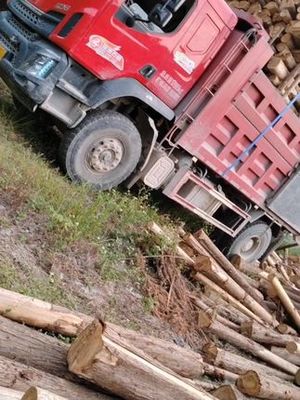 广西缘源林产品木业 创新驱动下的木材加工发展之路