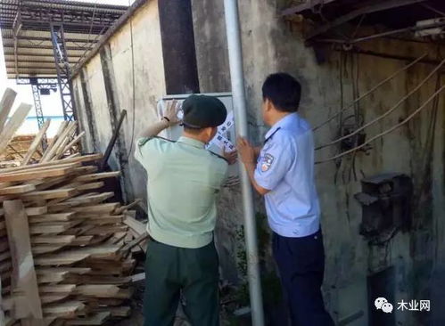 海南万宁重拳出击，11家消防隐患木材加工厂被依法查封
